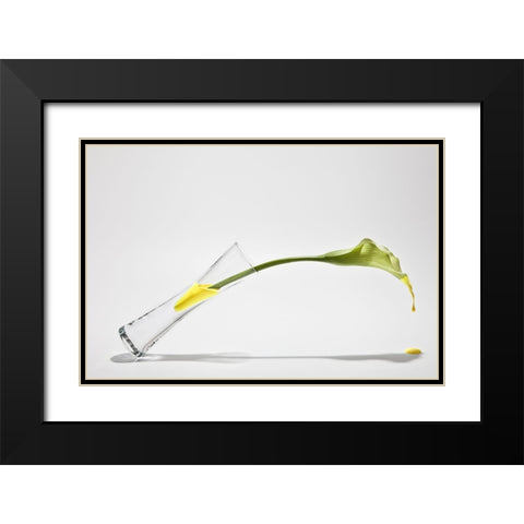 Calla Black Modern Wood Framed Art Print with Double Matting by Pabst, Christian