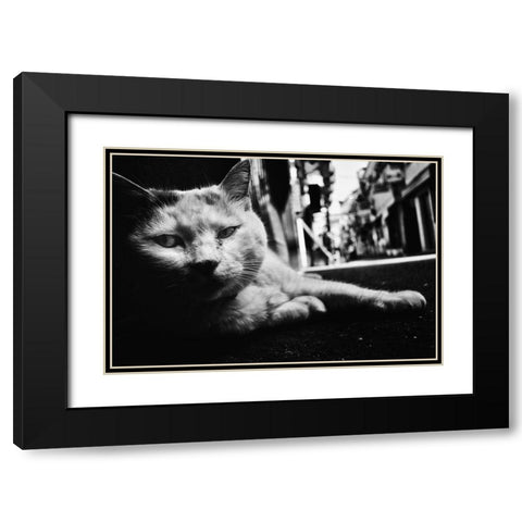 Cat Black Modern Wood Framed Art Print with Double Matting by Suzuki, Tatsuo