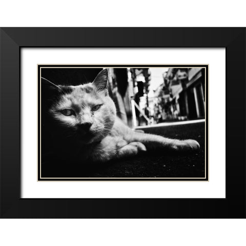Cat Black Modern Wood Framed Art Print with Double Matting by Suzuki, Tatsuo