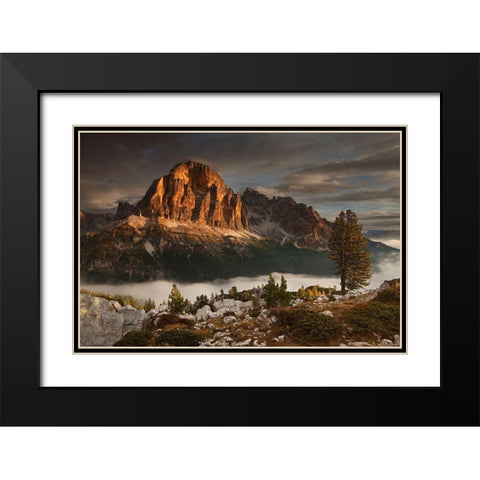 Tofana De Rozes Black Modern Wood Framed Art Print with Double Matting by Rericha, Daniel