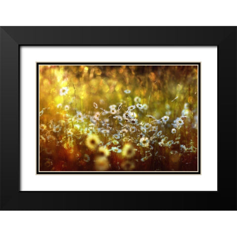 Wonderland Black Modern Wood Framed Art Print with Double Matting by Eisele, Stefan