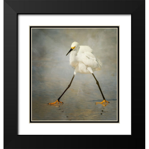 The Rock Star Black Modern Wood Framed Art Print with Double Matting by Forns, Alfred