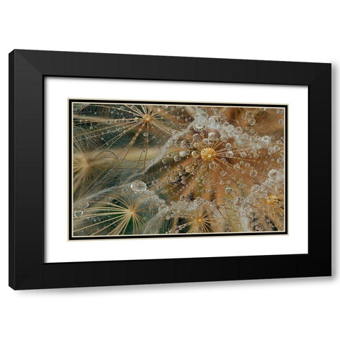 Starless Black Modern Wood Framed Art Print with Double Matting by Filosofo, El