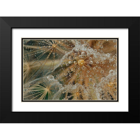 Starless Black Modern Wood Framed Art Print with Double Matting by Filosofo, El