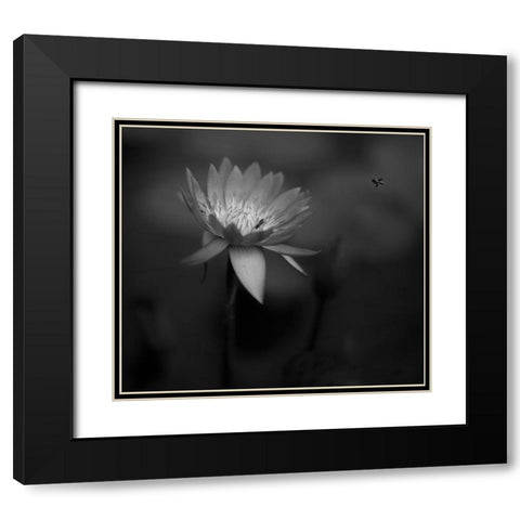 Lotus Black Modern Wood Framed Art Print with Double Matting by Tjandra, C.S.