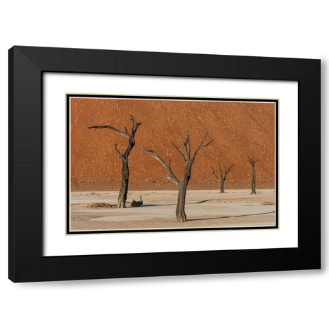 Dead Dancers Black Modern Wood Framed Art Print with Double Matting by Stranak, Pavol