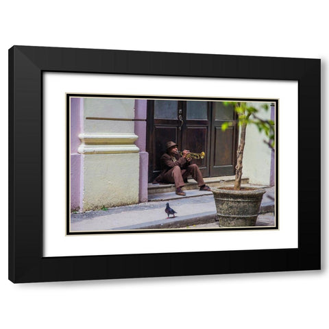 Playing For Pigeons Black Modern Wood Framed Art Print with Double Matting by Hatherill, Colin