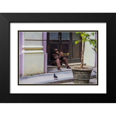 Playing For Pigeons Black Modern Wood Framed Art Print with Double Matting by Hatherill, Colin