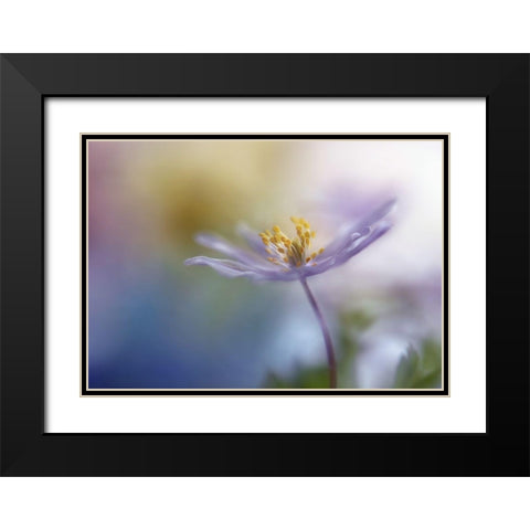 Springtime Watercolor Black Modern Wood Framed Art Print with Double Matting by Westum, Heidi