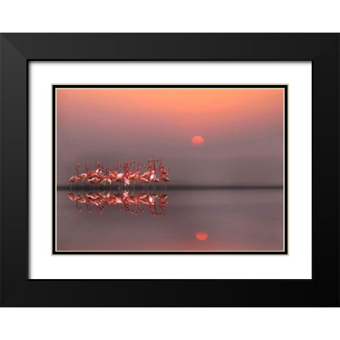 Purple Sunset Black Modern Wood Framed Art Print with Double Matting by Cseresnjes, Anna