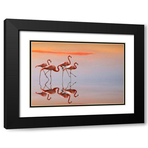Flamingos Family Black Modern Wood Framed Art Print with Double Matting by Cseresnjes, Anna