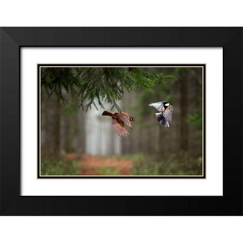 Two Black Modern Wood Framed Art Print with Double Matting by Bognar, Peter