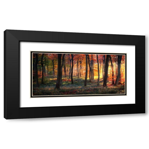 Autumn Woodland Sunrise Black Modern Wood Framed Art Print with Double Matting by Photokes
