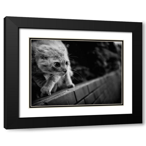 Ready To Fight Black Modern Wood Framed Art Print with Double Matting by Suzuki, Tatsuo