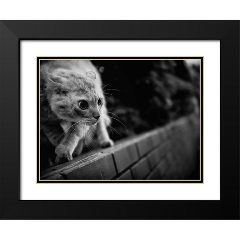 Ready To Fight Black Modern Wood Framed Art Print with Double Matting by Suzuki, Tatsuo