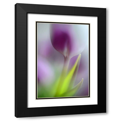 Soft Secrets Black Modern Wood Framed Art Print with Double Matting by Westum, Heidi