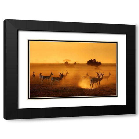 Sentinels Black Modern Wood Framed Art Print with Double Matting by Guillemot, Mathilde