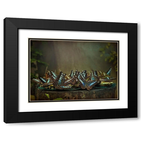 Rendezvous Black Modern Wood Framed Art Print with Double Matting by Dagobert, Antoine