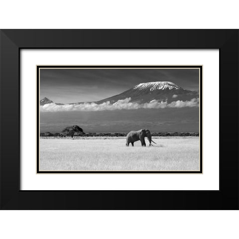 Lost Colors Ii Black Modern Wood Framed Art Print with Double Matting by Canakci, Ibrahim