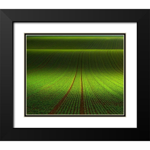 November Green Black Modern Wood Framed Art Print with Double Matting by Schumacher, Nicolas