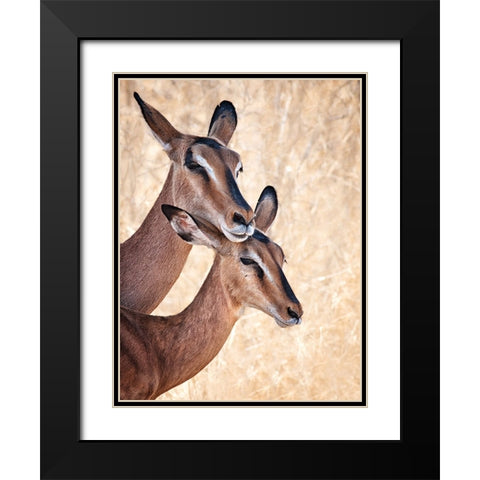 Do Not Worry, IM Here Black Modern Wood Framed Art Print with Double Matting by Guillemot, Mathilde