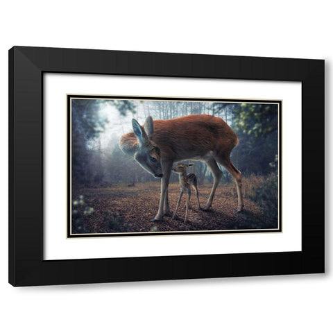 Mother And Fawn Black Modern Wood Framed Art Print with Double Matting by Wilhelm, John