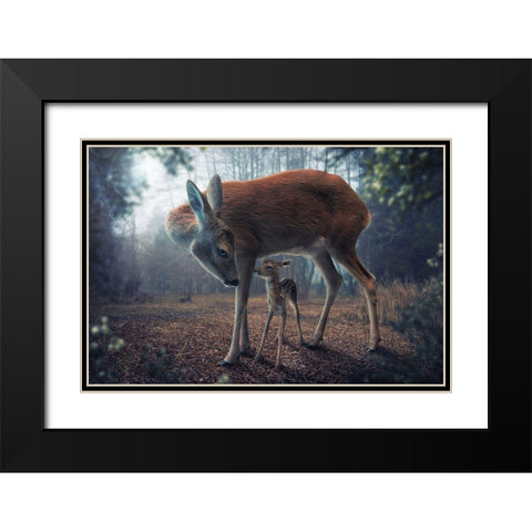 Mother And Fawn Black Modern Wood Framed Art Print with Double Matting by Wilhelm, John