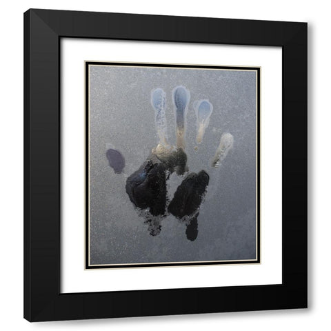 Cold Glass Black Modern Wood Framed Art Print with Double Matting by Westling, Leif