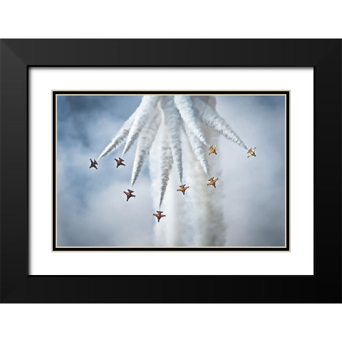 Black Eagles Black Modern Wood Framed Art Print with Double Matting by Walmsley, Peter