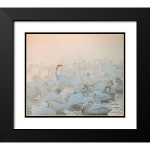 Song Of The Morning Light Black Modern Wood Framed Art Print with Double Matting by Dubikovskiy, Dmitry