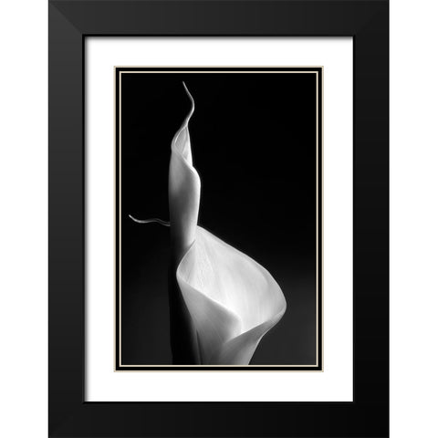 Female Curves Black Modern Wood Framed Art Print with Double Matting by Pascual Buye, Santiago
