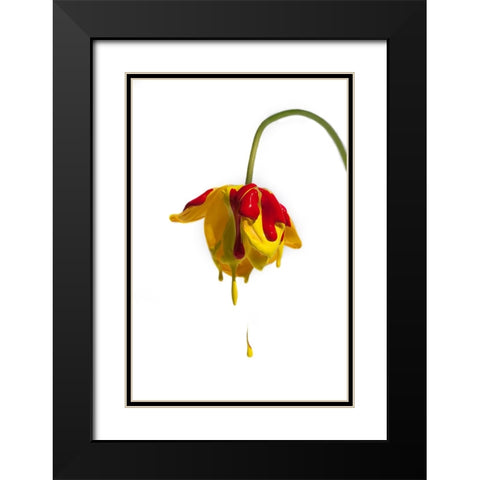 Crying Flower Black Modern Wood Framed Art Print with Double Matting by Mathiesen, Kent