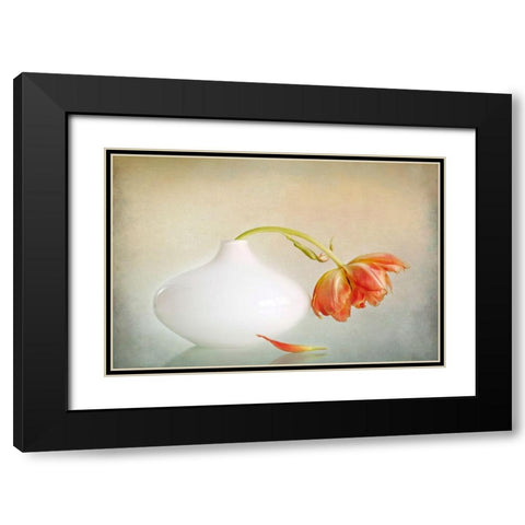 2Lip Black Modern Wood Framed Art Print with Double Matting by Van Zaane, Alida