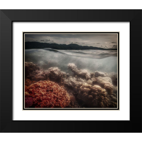 Underwater Evening Black Modern Wood Framed Art Print with Double Matting by Stranak, Pavol