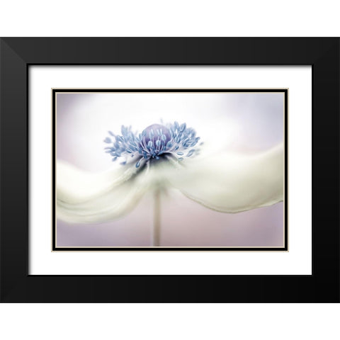 A N E M O N E Black Modern Wood Framed Art Print with Double Matting by Disher, Mandy