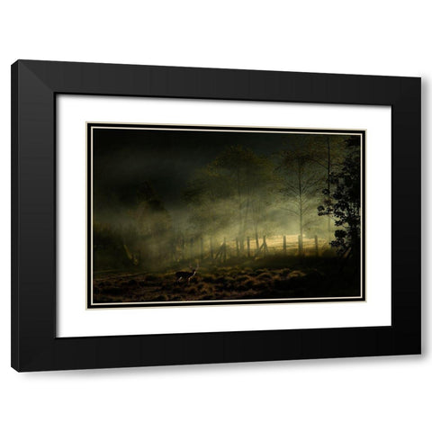 Misty Morning Black Modern Wood Framed Art Print with Double Matting by Rizani, Nunu