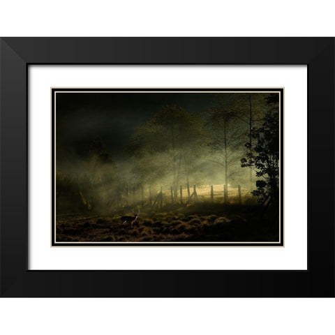 Misty Morning Black Modern Wood Framed Art Print with Double Matting by Rizani, Nunu