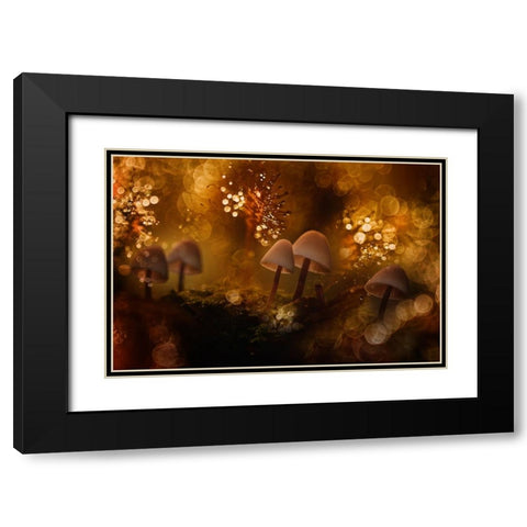 Untitled Black Modern Wood Framed Art Print with Double Matting by Mijer, Wil