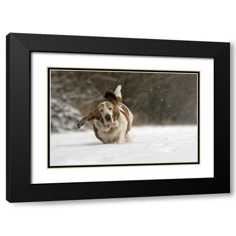 Almost Airborne Black Modern Wood Framed Art Print with Double Matting by Van Den, Gert