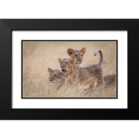 Boys At Play Black Modern Wood Framed Art Print with Double Matting by C. Sink, Jeffrey