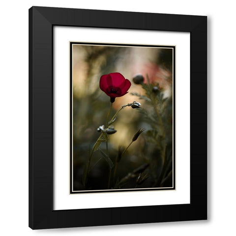 La Bailarina De Flamenco Black Modern Wood Framed Art Print with Double Matting by BRAVIN, Fabien