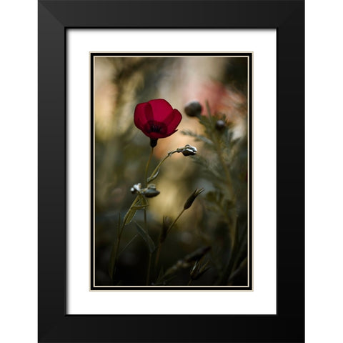 La Bailarina De Flamenco Black Modern Wood Framed Art Print with Double Matting by BRAVIN, Fabien