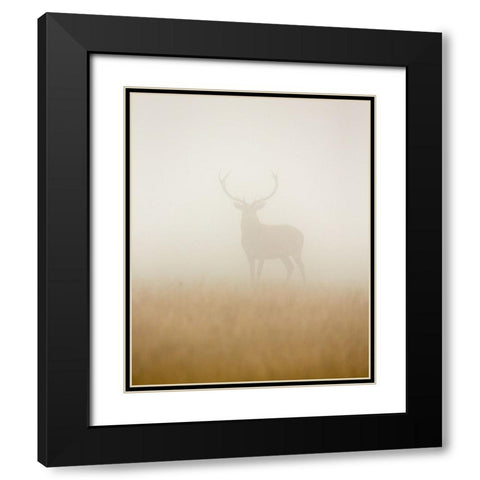 Ghost Stag Black Modern Wood Framed Art Print with Double Matting by Harling, Stuart