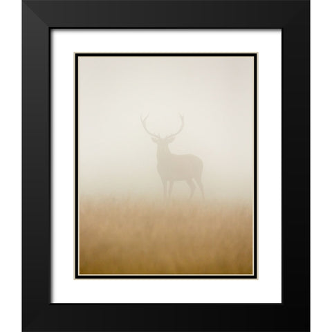 Ghost Stag Black Modern Wood Framed Art Print with Double Matting by Harling, Stuart