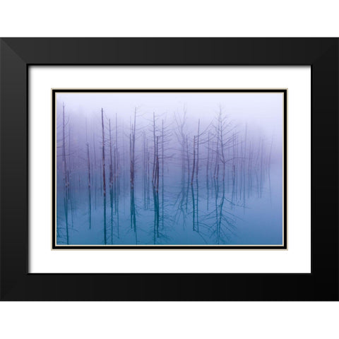 Misty Blue Pond Black Modern Wood Framed Art Print with Double Matting by Asami, Osamu