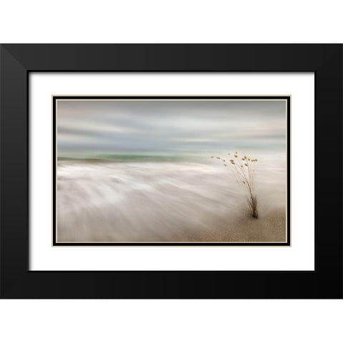 Ears In The Sea Black Modern Wood Framed Art Print with Double Matting by Osuna, Fran