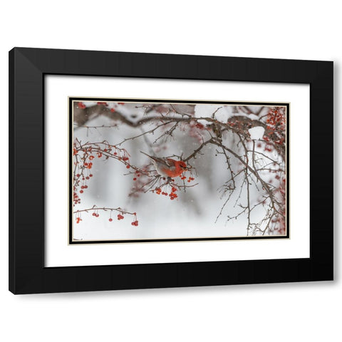 Nihonga Black Modern Wood Framed Art Print with Double Matting by ASAMI, OSAMU