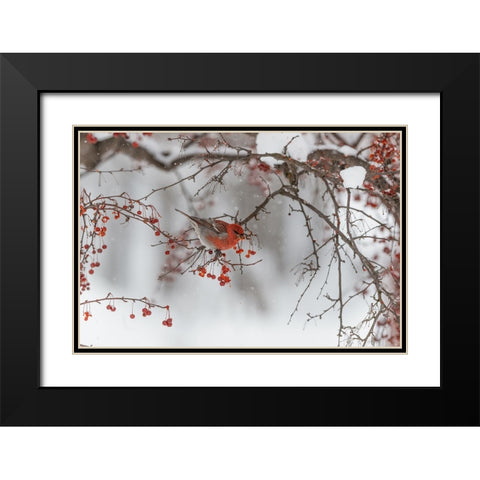 Nihonga Black Modern Wood Framed Art Print with Double Matting by ASAMI, OSAMU