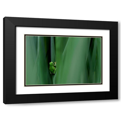 Stage Curtain Black Modern Wood Framed Art Print with Double Matting by Mei, Massimo