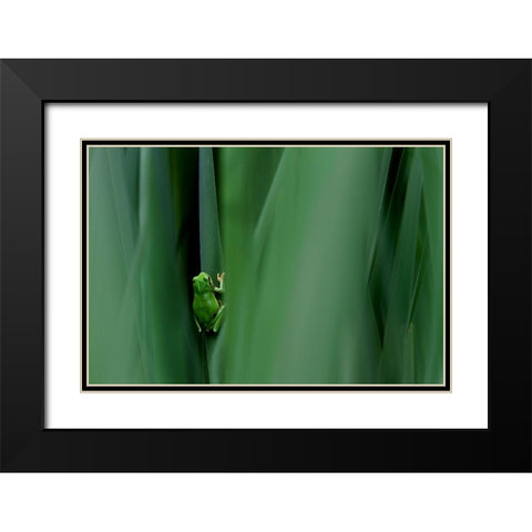 Stage Curtain Black Modern Wood Framed Art Print with Double Matting by Mei, Massimo